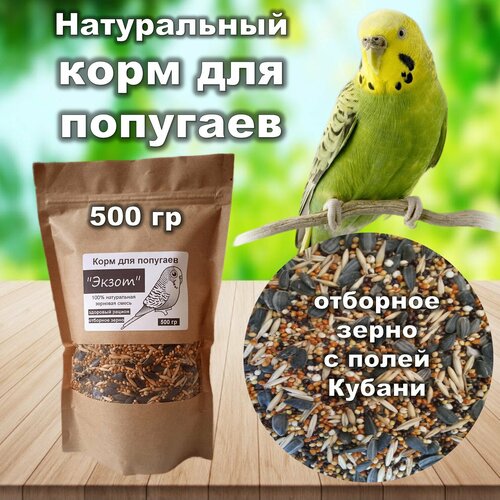 ���� ���� ��� �������� 