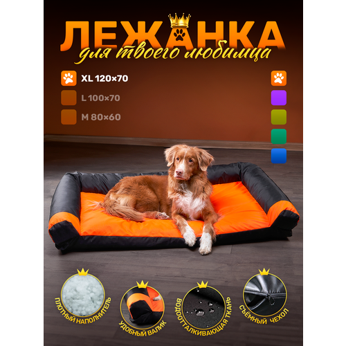  -       120*70 Orange / black   -     , -  