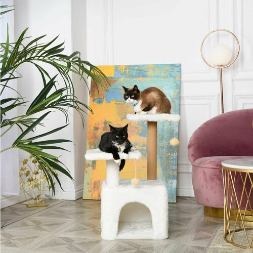 ���� ���������� ��� ����� ����� ����� �����, ������ ������