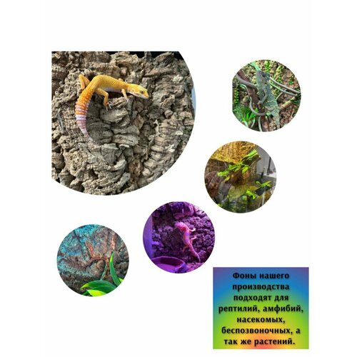 ���� ��� ��� ���������� 47*30�� �������� 3D �� ��������� ���� �����������, ������ ������