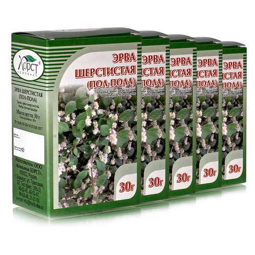 ���� ���� ���������� (���-����), ����� 30��, 5 ��, ������ ������