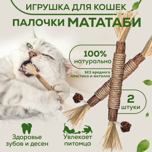 ���� �������-��������� �� �������� ��� �����. ��������� ��� ������ ����� � �������� �������� ����, 2 �����, ������ ������