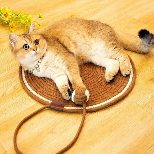 ���� ���������� ������� ��� ����� � ��������, ������ �������� �� �����, 42��., ������ ������