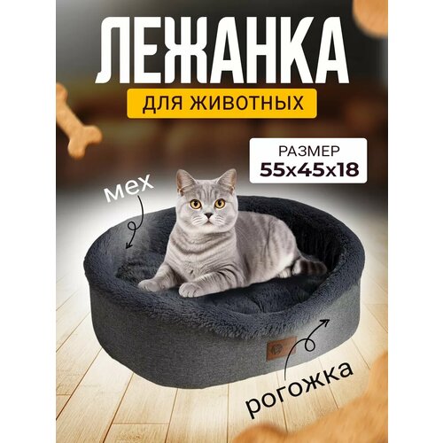 ���� ����� ��� ����� � ����� ������� �����, ������ ������