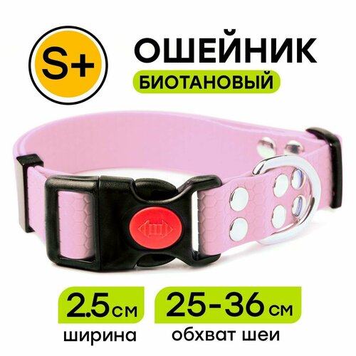 ���� ������� �� ������� 25-36 �� (S+), 25 ��, Woofy 