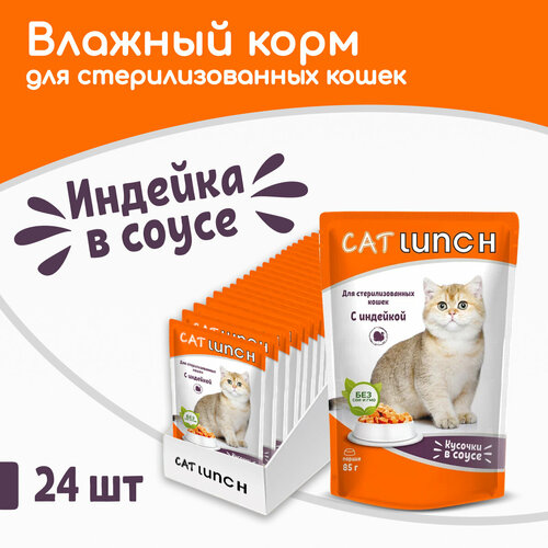       Cat Lunch  24 .  2040  (  )   -     , -  