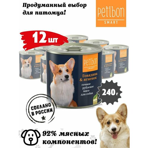      Petibon Smart,      , 240   12 .   -     , -  