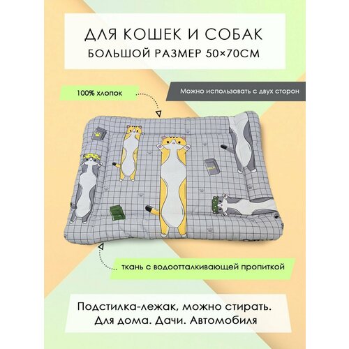 ���� ���������-����� ��� �����/����� 