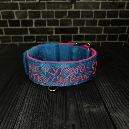 ���� ������� � ��������, �������, �������� ��� ����� ������� � ������� �����. ������ 5.5 ��. ������ ��� 53-65 ��. ���������� � ������., ������ ������