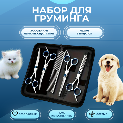 ���� ������� ��� �������� ����� � �����, ����� ��� ��������, Maxintro, ������ ������