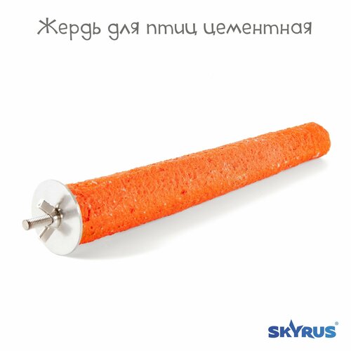      SkyRus , , 322   -     , -  