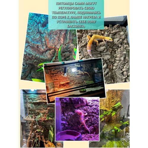 ���� ��� ��� ���������� 60*30�� �������� 3D �� ��������� ���� �����������, ������ ������