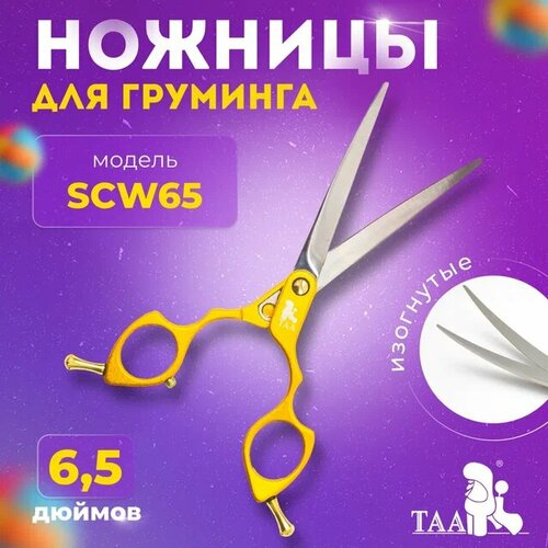  TAA     6.5 SCW65 ,  ,    ,  