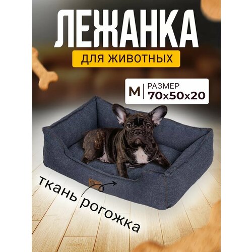 ���� ������� ��� ����� � ����� ������� � ��������� � ��������, ������ ������