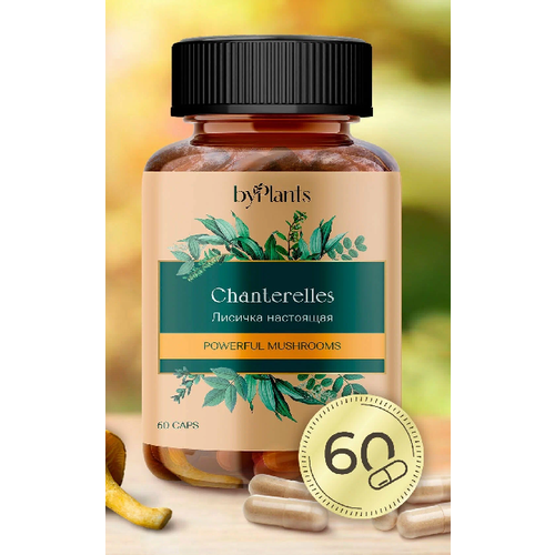 ���� ���������������� �������� - ������� ������� � �������� 60 ��., ������ ������