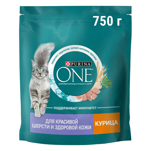    Purina ONE      ,          750    -     , -  