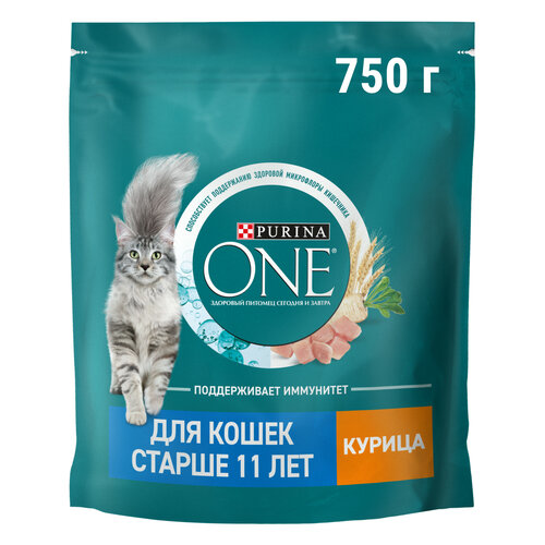    Purina ONE    11    750    -     , -  