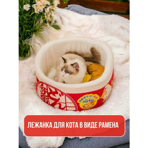 ���� ������� ��� �����, ������, ������ ������