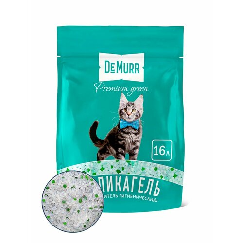 ���� ����������� ��� ��������� ������� C������������ 16�, ������ ������