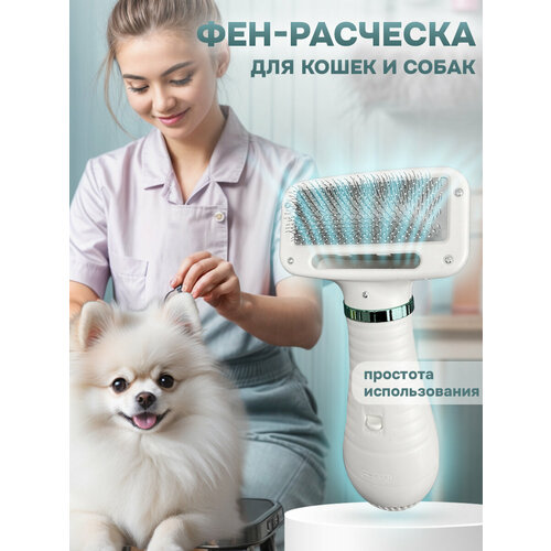 ���� ���-�������� 2�1 ��� ��������, ����-������� / ��� ��� ����� ��������, ������ ������