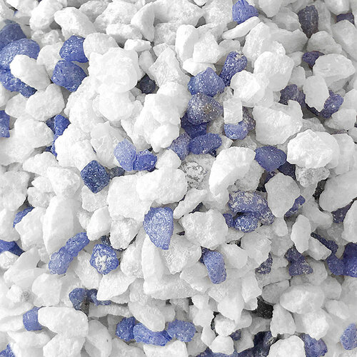 ���� ����������� ����� ��� ���������, ����������, ����������� � ��������, Zoo One, ��������� ��������, ������� 