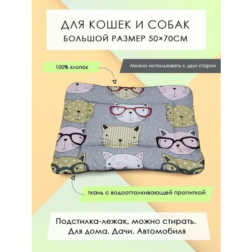 ���� ���������-����� ��� �����/����� 