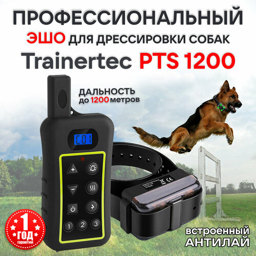    Trainertec PTS1200,   65 ,   65 ,    -     , -  