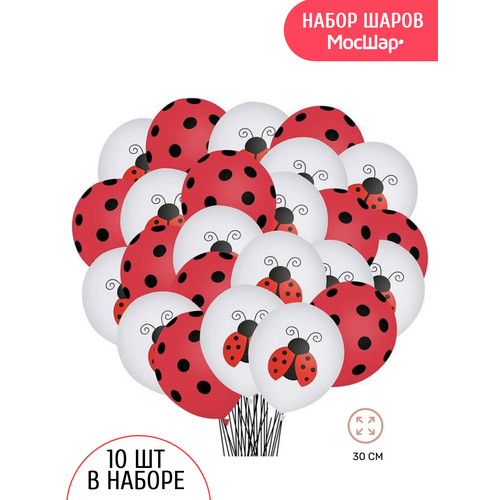 ���� ��������� ��������� ���� ����� �������, 10��, ������ ������