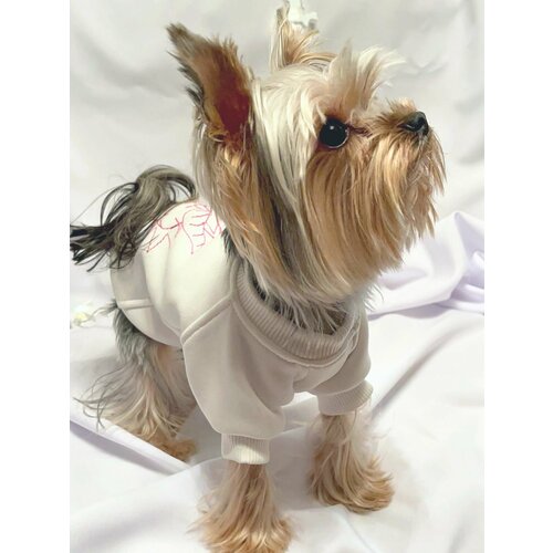 ���� ��������� ��� ����� � ����� ������ ����� (��������, ������� ������), ������ ������