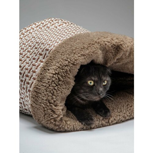 ���� ����� ��� ����� � ����� 