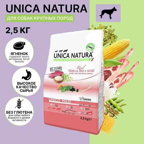        Unica Maxi  , 2,5 .   -     , -  