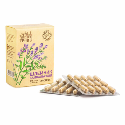 ���� ������� ����������� (��������) �� ������ 