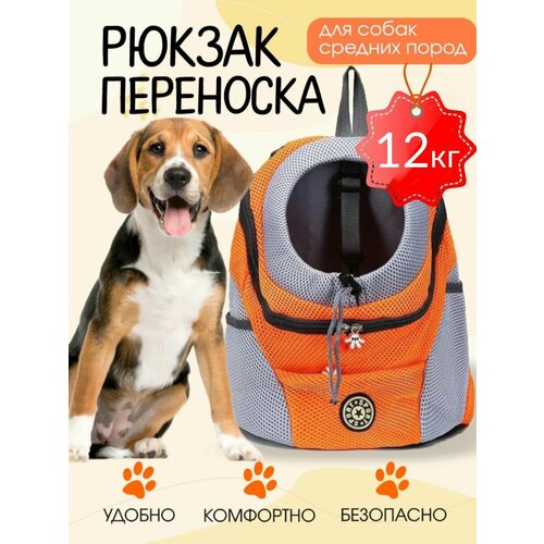 ���� ������ ��������� ��� ����� �����, ������ ������