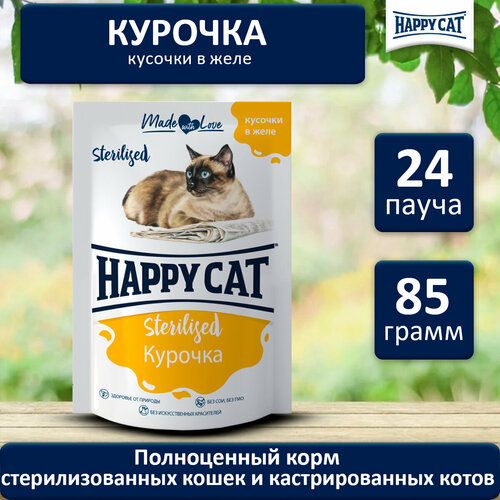        (Happy Cat)    ,  (24*85)   -     , -  