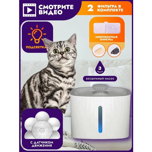 ���� ������ ��� �������� � ��������, ������ ������