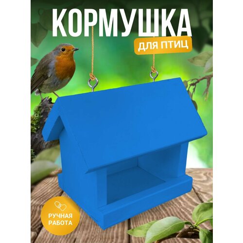 ���� �������� ��� ���� �����, ������ ������