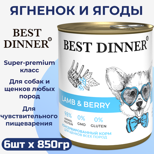   Best Dinner      , ,    6   850    -     , -  