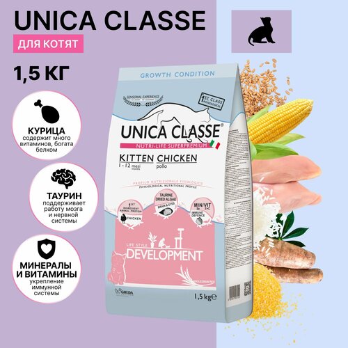      Unica Classe    1  12 ,  , 1,5 .   -     , -  