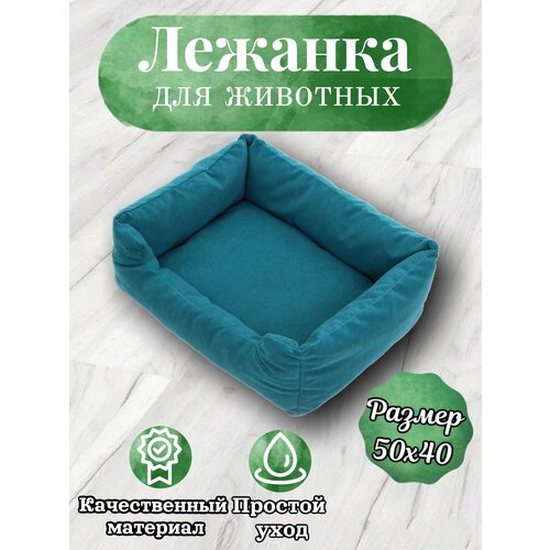 ���� ������� ��� ����� ����� ����� �������� ������ ����� 50�40, ������ ������