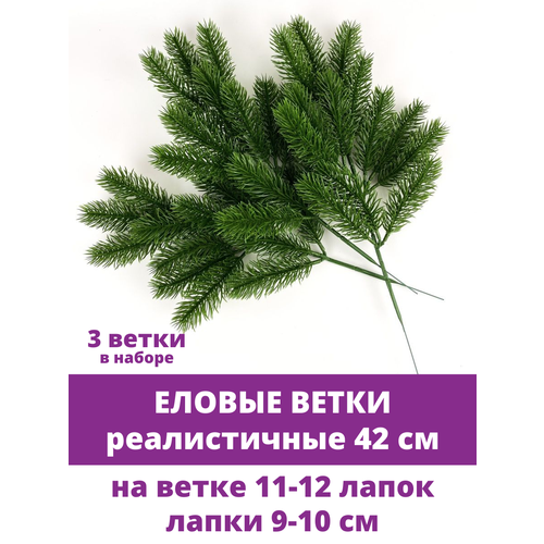 ���� ������ ����� �������������, 12 �����, 42 ��, ����� 3 �����, ������ ������