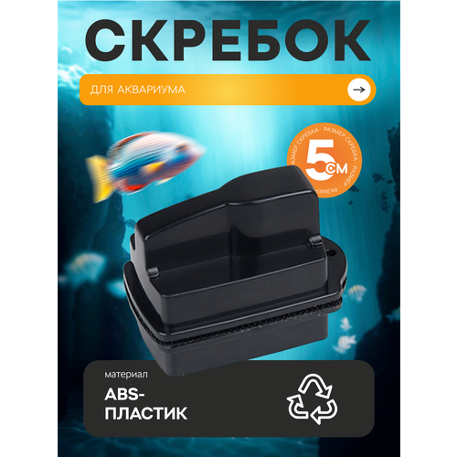 ���� ������� ��������� ��� ���������, ����� ���������� ��� ������., ������ ������