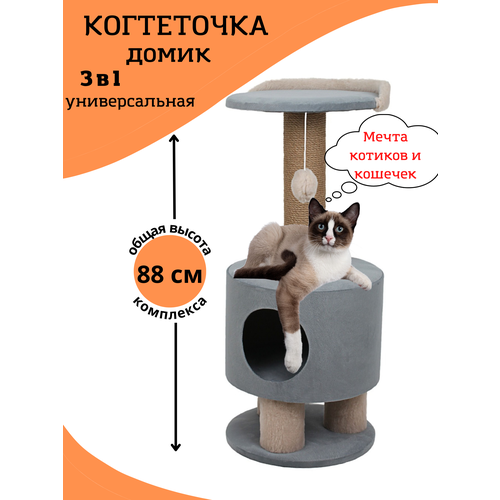 ���� ���������� � �������, ��������, ������� �������� ��� �����, ������� ��������, �����, ������ ������