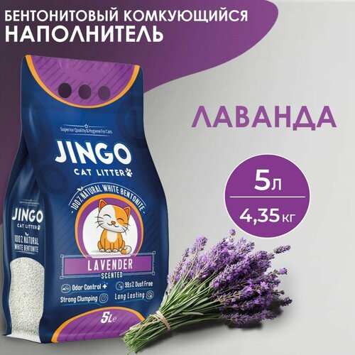       JINGO , 5/ 4,35 .   -     , -  