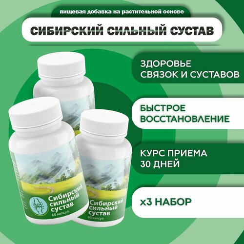 ���� �������� ��� �������� ��������� ������� ������ 60 ������, ������ ������