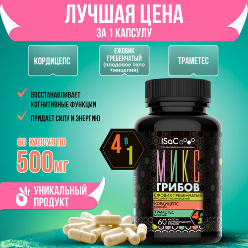 ���� ���� ������ ��� ����� ������ - ������ �����������, ��������, ��������, ������ ������