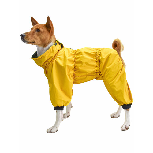 ���� ���������� �������� ��� �����-������� ���������� �� ����� 