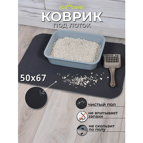 ���� ������ ��� ����� �������� ����, 50�67 ��, �����, ������ ������