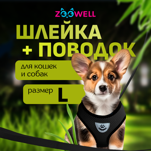         ZooWell ,  L    -     , -  