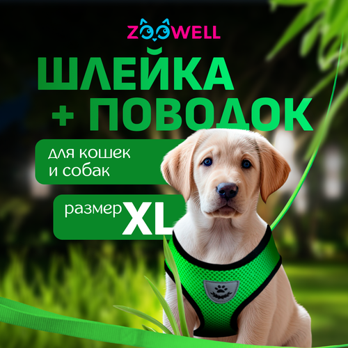       ZooWell ,  XL    -     , -  