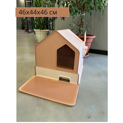 ���� �������� �����-����� � ��������� �������� , ������ ������� ����� 